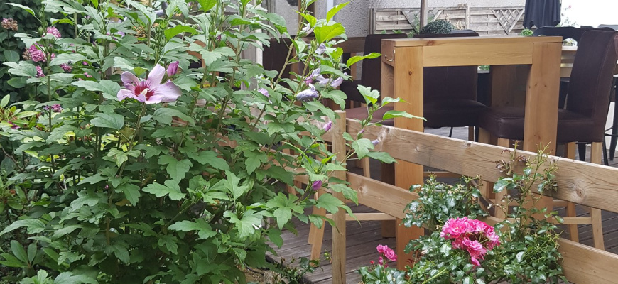 Le Jéroboam côté jardin Bar à vin