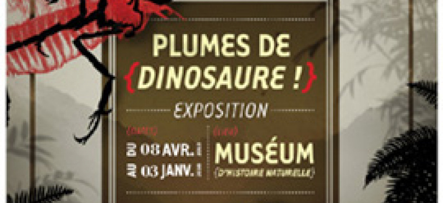 Plumes de Dinosaures ! Pluridisciplinaire