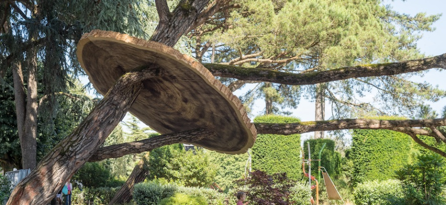 Un Pinus pinea en l&#039;an 2252 Art contemporain