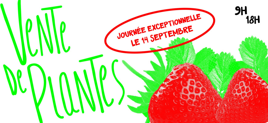 Grande ventes de plantes Marché/Vente