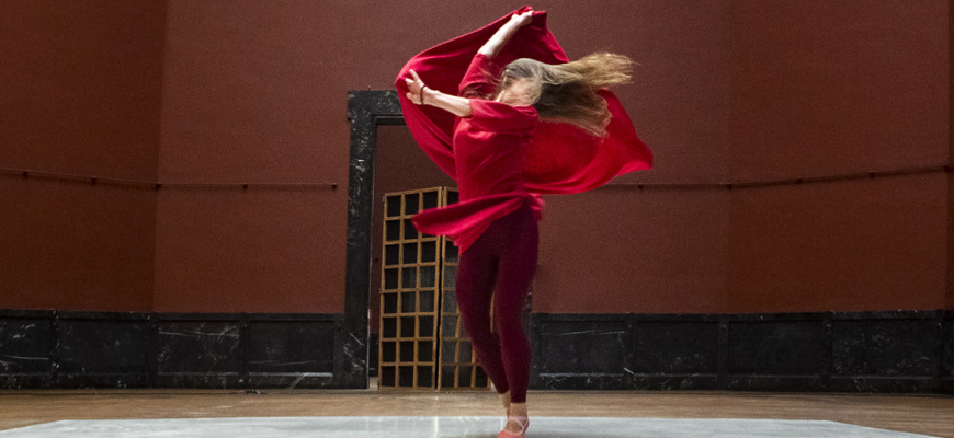 Le secret des oiseaux Danse