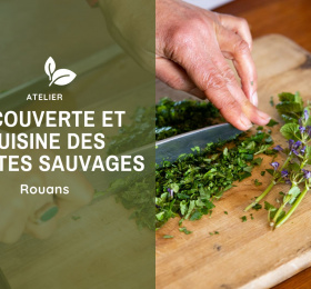 Image  Découverte et cuisine des plantes sauvages (44)  Atelier/Stage