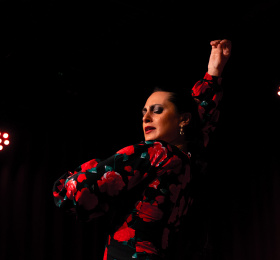 Image Tablao, flamenco traditionnel Danse